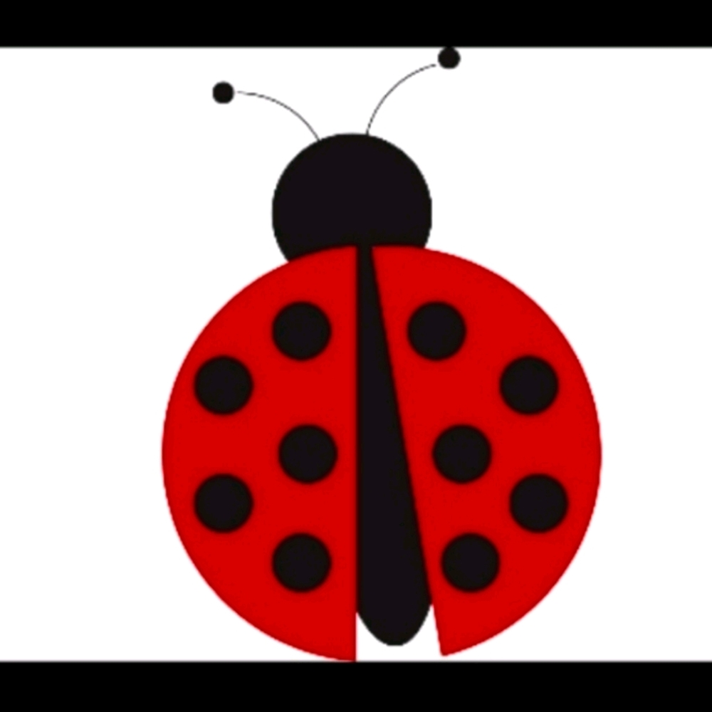 🐞🐞 Clearance Sale 🐞🐞